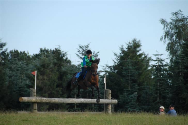 Connemara Hesselholts Lorenzo billede 16