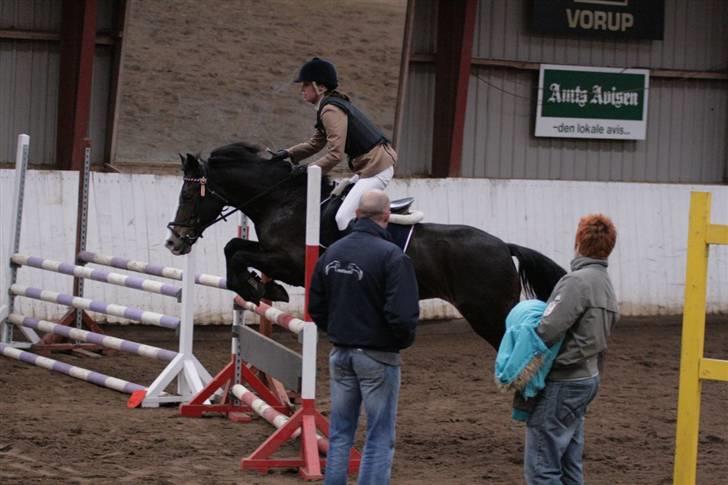 Hollandsk Sportspony Mandy <3 R.I.P 11/07/2010 - Stevnstrup - Første LB - Du er for blæret powni! :D<3 ilü Foto: Malene Markmann aka. Strømpen :D billede 11