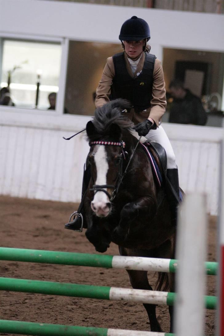 Hollandsk Sportspony Mandy <3 R.I.P 11/07/2010 - Stevnstrup - første LB - JEG ELSKER DIG! <3 Foto: Malene Markmann aka. Strømpen :D billede 12