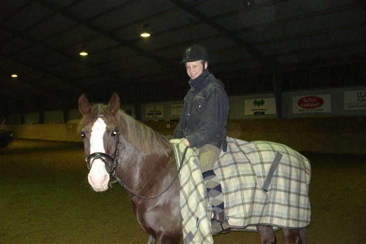 New Forest Midnight Fleur *Aflivet* - Fleur & Mig <3 billede 1