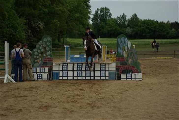 New Forest Midnight Fleur *Aflivet* - Fleur & Mig <3 billede 3