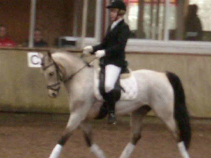 DSP Blanke - Solgt billede 17