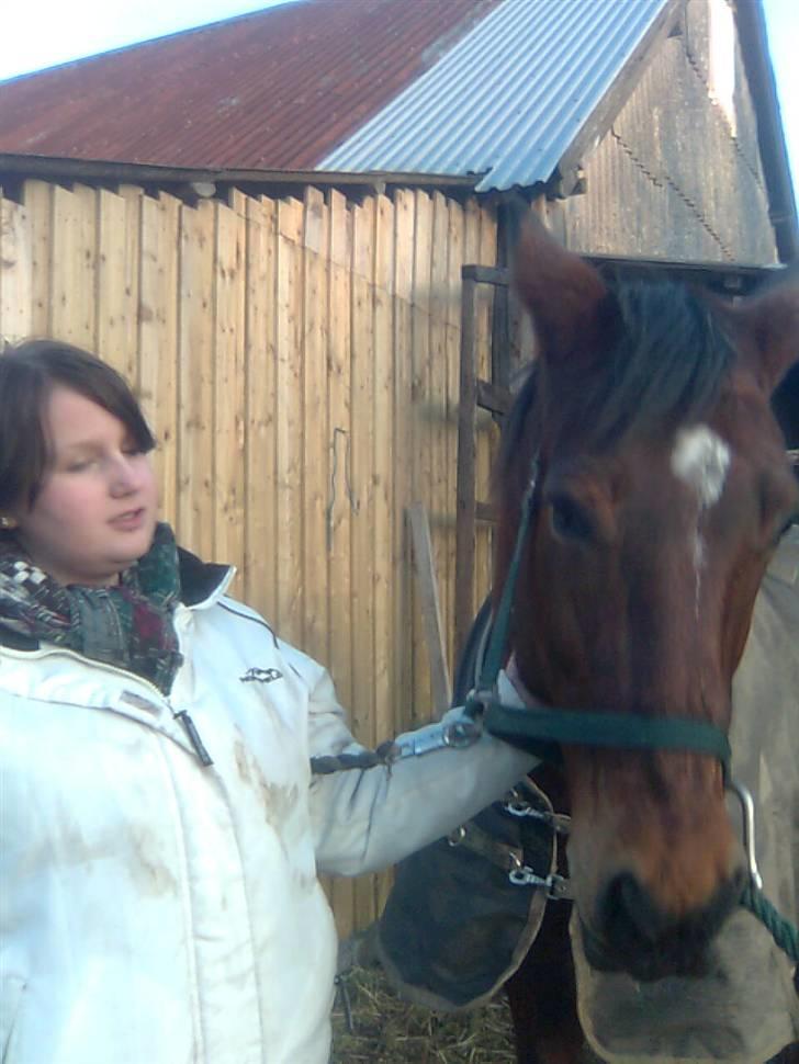 Anden særlig race speed - er han ikke dejlig ? billede 10