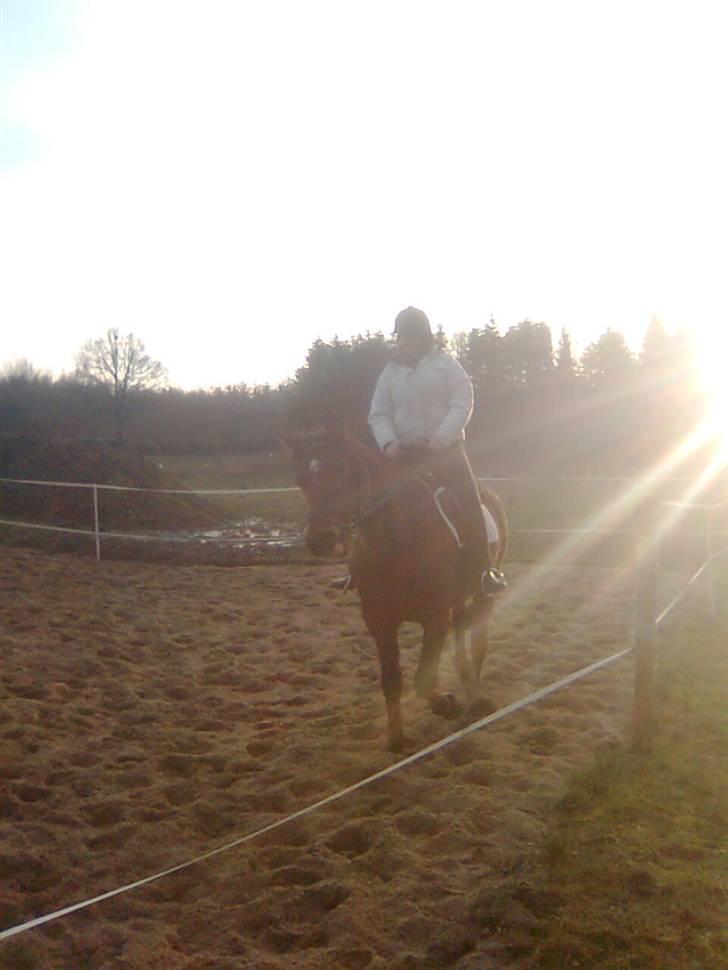 Anden særlig race speed - en tur på banen <3 billede 11