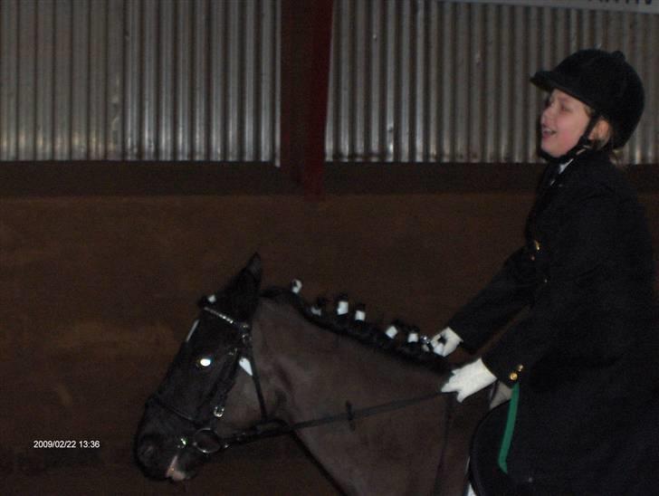 Anden særlig race Meteor <3 SOLGT - så er det snart vores tur til at komme ind og vise hvad vi kan  billede 17