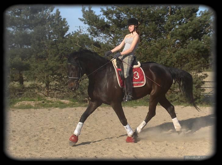 Dansk Varmblod | Landeur R.I.P - træning 23 april. billede 20