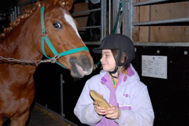 Arabisk fuldblod (OX) Flicka  - 19)Tak for saltsten:) billede 18
