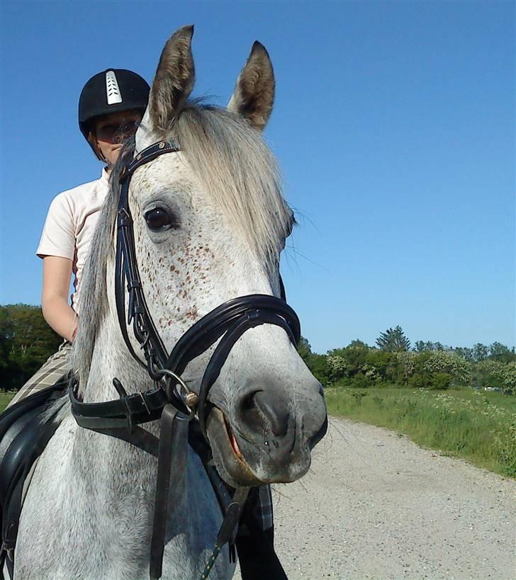 Anden særlig race Moonlight - Mig og Moonlight<3 billede 15