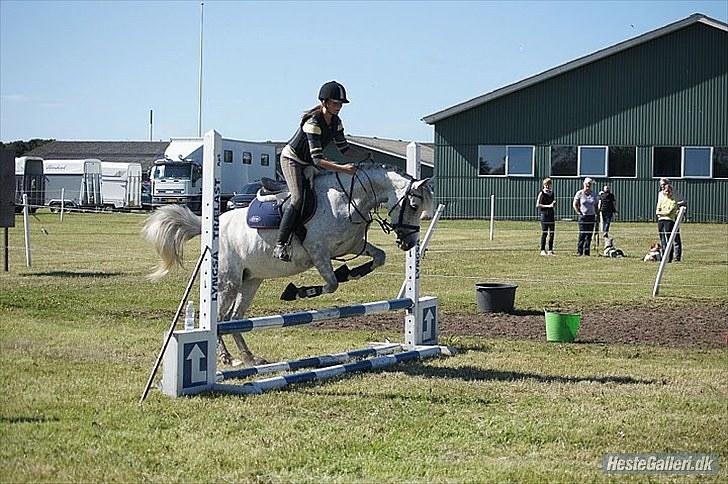Anden særlig race Moonlight - Mig og Moonlight<3 billede 18