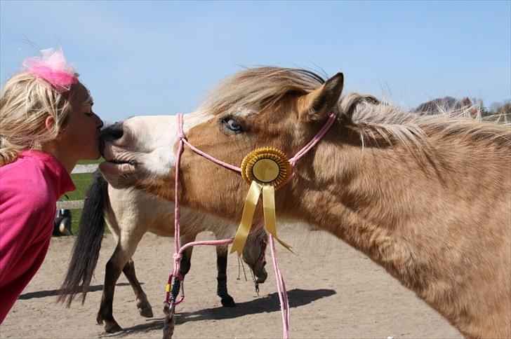 Anden særlig race Princess R.I.P †SOULMATE† - Et af de sidste kys, jeg fik af min engel?.. jeg savner dig sindsygt meget!:´( <3 Foto. Jeanett Nørgaard<3 billede 17