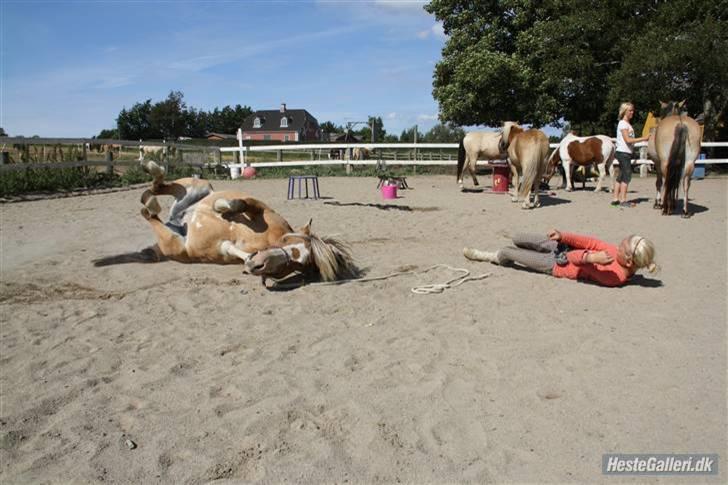 Anden særlig race Princess R.I.P †SOULMATE† - Sov godt, og drøm sødt, leg med Rossie og Molly!.. Men husk at jeg altid vil elske dig af hele mit hjerte!.. Sulabu&Signe for altid!.. <3 Foto. Michala Aabech<3 billede 20