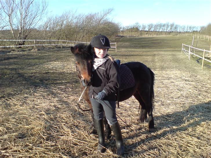 Anden særlig race sunflower - min nye bedste ven sun flower :) billede 8