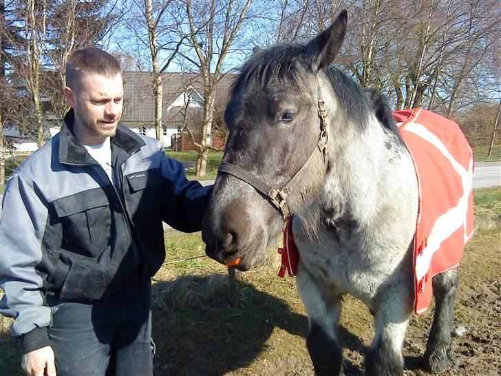 Belgier Bormosens Herkules - hmm hvor kom det æsel fra??? billede 4