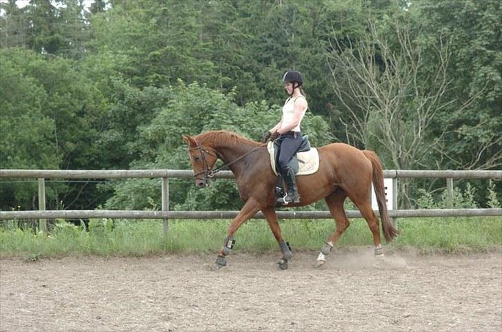 Fuldblod (XX) Pearl Harbor - NYT kursus 3 billede 19