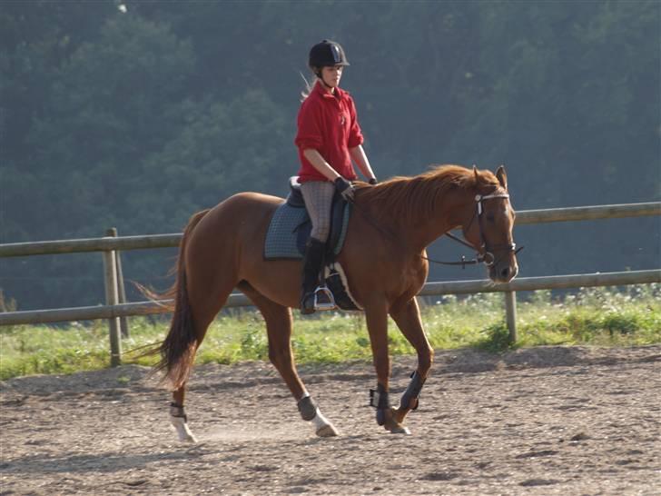 Fuldblod (XX) Pearl Harbor billede 20