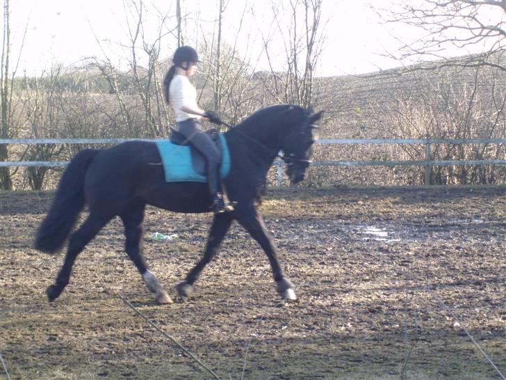 Oldenborg Granat Anholm  (SOLGT) billede 9