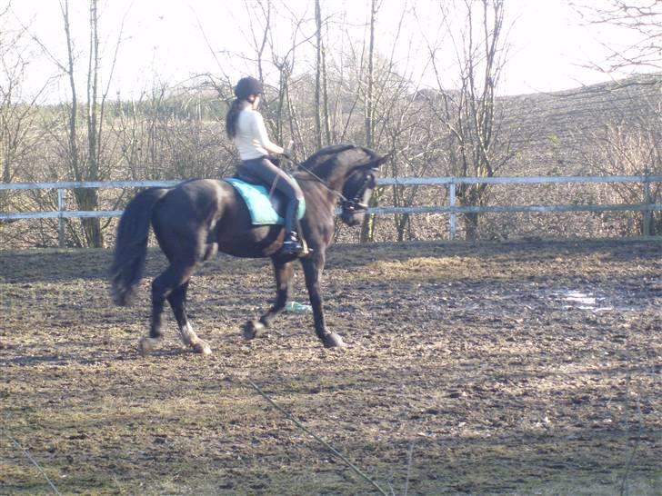 Oldenborg Granat Anholm  (SOLGT) billede 10