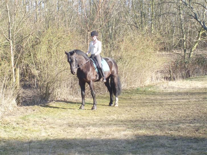 Oldenborg Granat Anholm  (SOLGT) billede 11