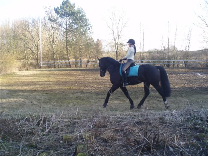 Oldenborg Granat Anholm  (SOLGT) billede 12