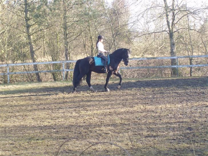 Oldenborg Granat Anholm  (SOLGT) billede 13