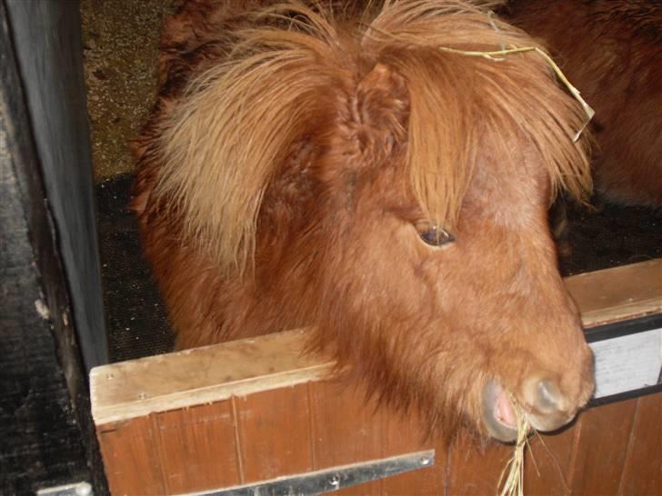 Miniature Kerrygold billede 2