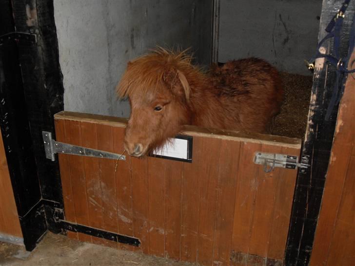 Miniature Kerrygold billede 4