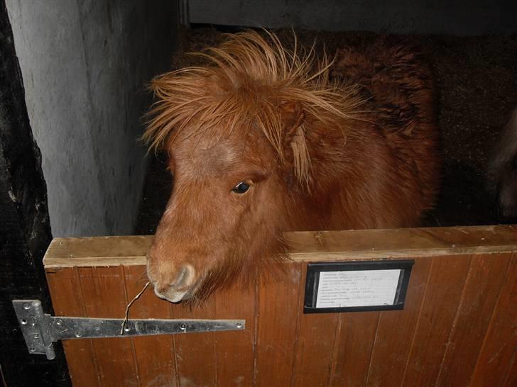 Miniature Kerrygold billede 5