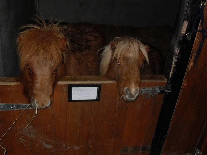 Miniature Kerrygold billede 6