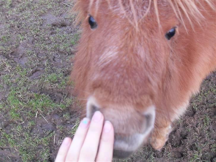 Miniature Kerrygold billede 7