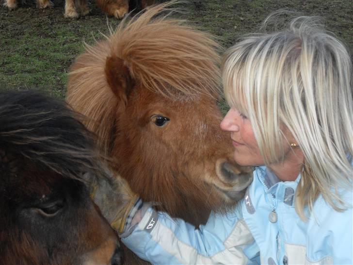 Miniature Kerrygold billede 8