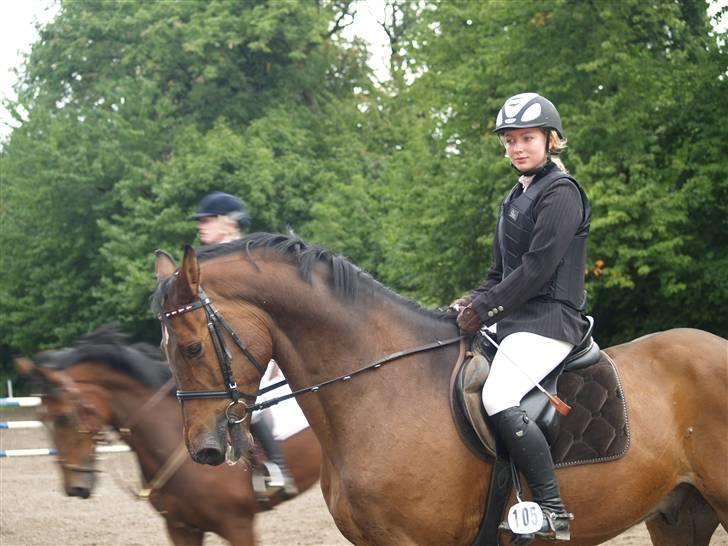 Holstener Corleone F. Damgaard - til stævne på sports rideklubben =) billede 16