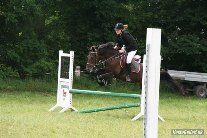 Traver Fame <3 Solgt. - Fame i omspring billede 8