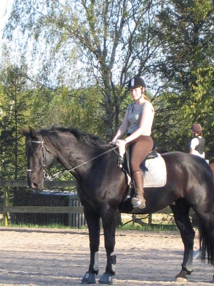 Oldenborg Negro billede 2