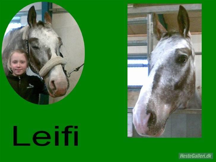 Anden særlig race Leifi <'3 - her er en der har lavet et flot billede til mig :-) billede 10