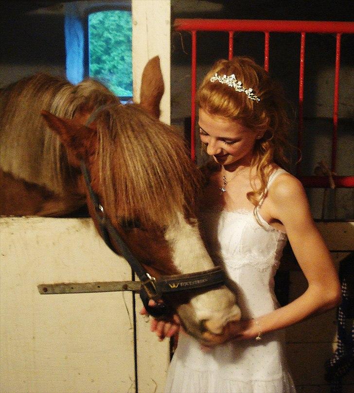 New Forest Damly's Pinocchio -  Konfirmation || d. 3/5 09 billede 20