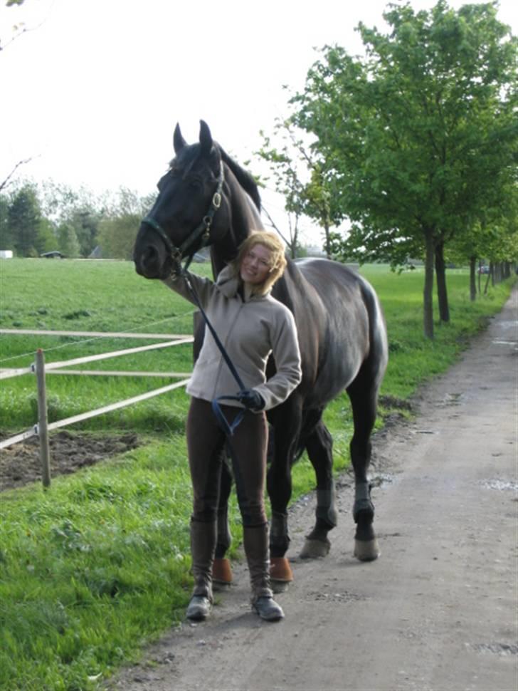 Oldenborg Negro billede 4