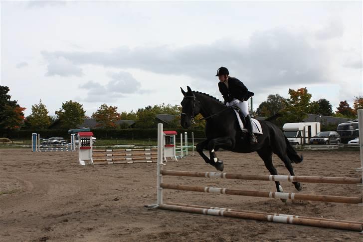 Oldenborg Negro billede 7