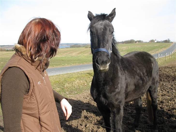 Anden særlig race Stensgårdens marquis - Da jeg kom for at hente hende.. billede 10