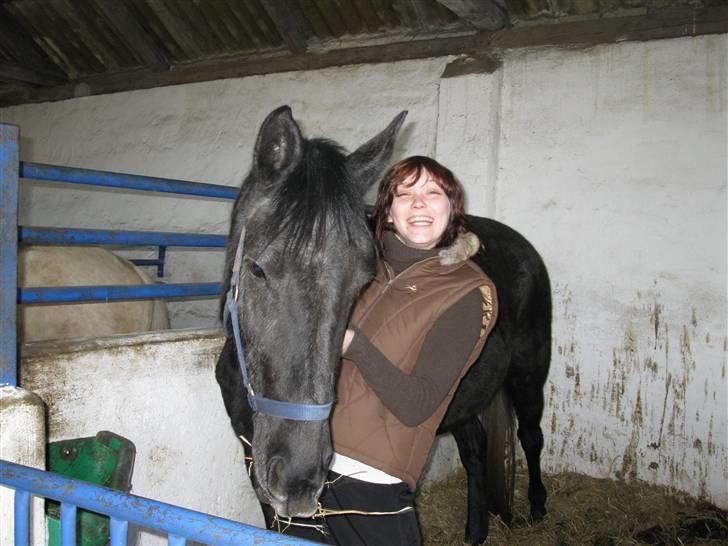 Anden særlig race Stensgårdens marquis - Jeg elsker dig skattepigen :) billede 14