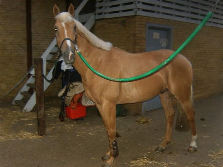 {{currentPhoto.altText}} billede {{currentPhoto.number}}