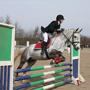 Anden særlig race Faraus The Best