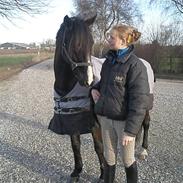 Anden særlig race Armani