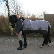 Anden særlig race Armani