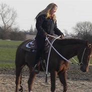 Quarter Treatme Lika Leaguer