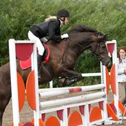 Anden særlig race Prins<33