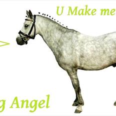 Welsh Mountain (sec A)  "R.I.P."  Flying Angel