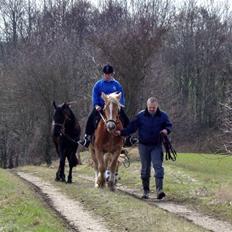 Jyde #  Mosegårdens Ronja  # 