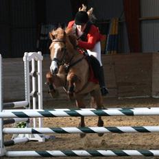 Anden særlig race Strejfer 