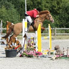 Anden særlig race Strejfer 