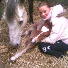 Anden særlig race Eclipse of the Moon SOLGT